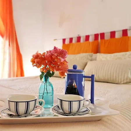 Sofia In Villa Callao Salvaje